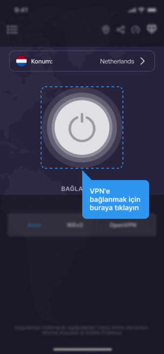 image (17).png